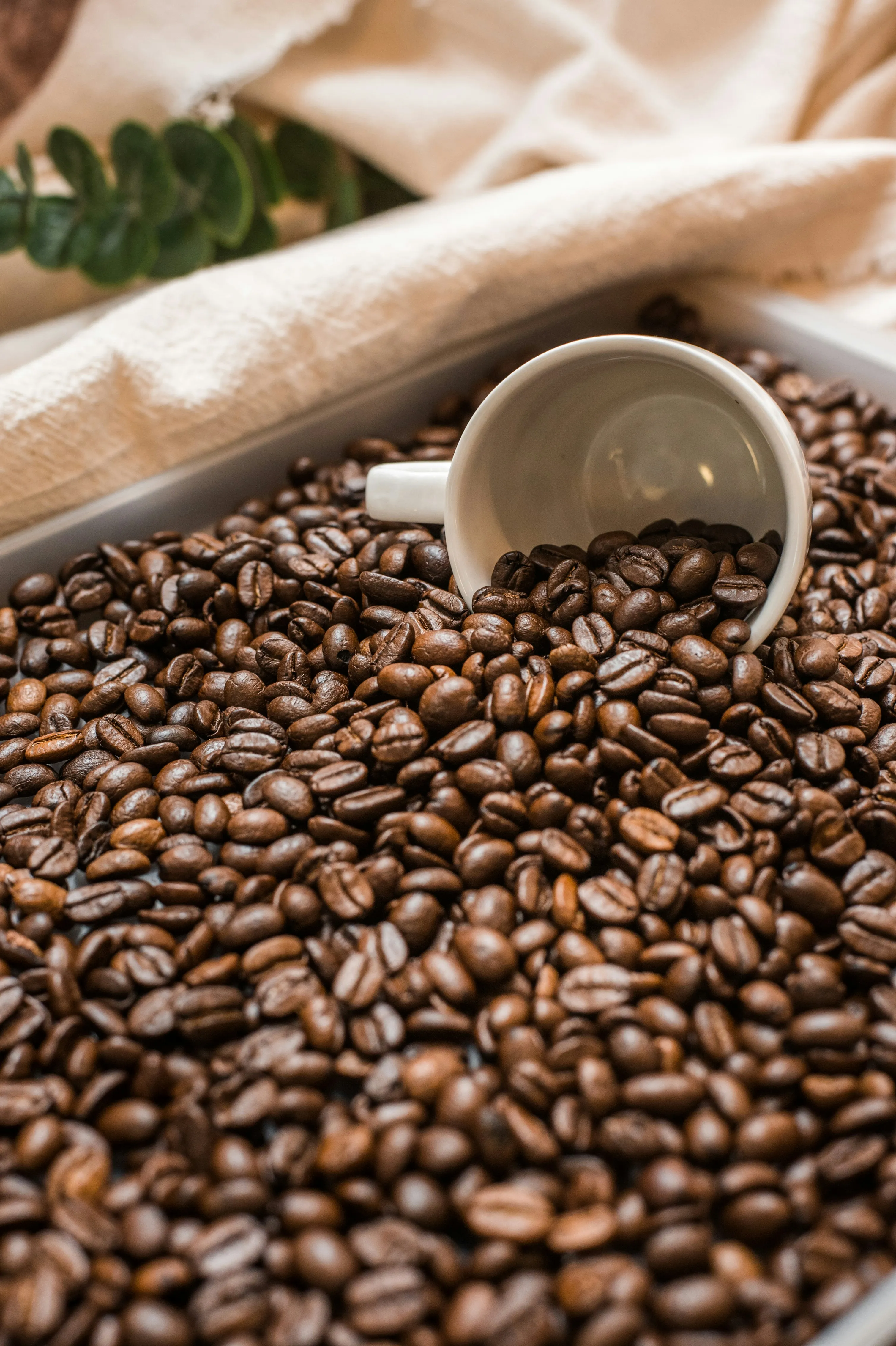 We use premium coffee beans for our coffee and espresso