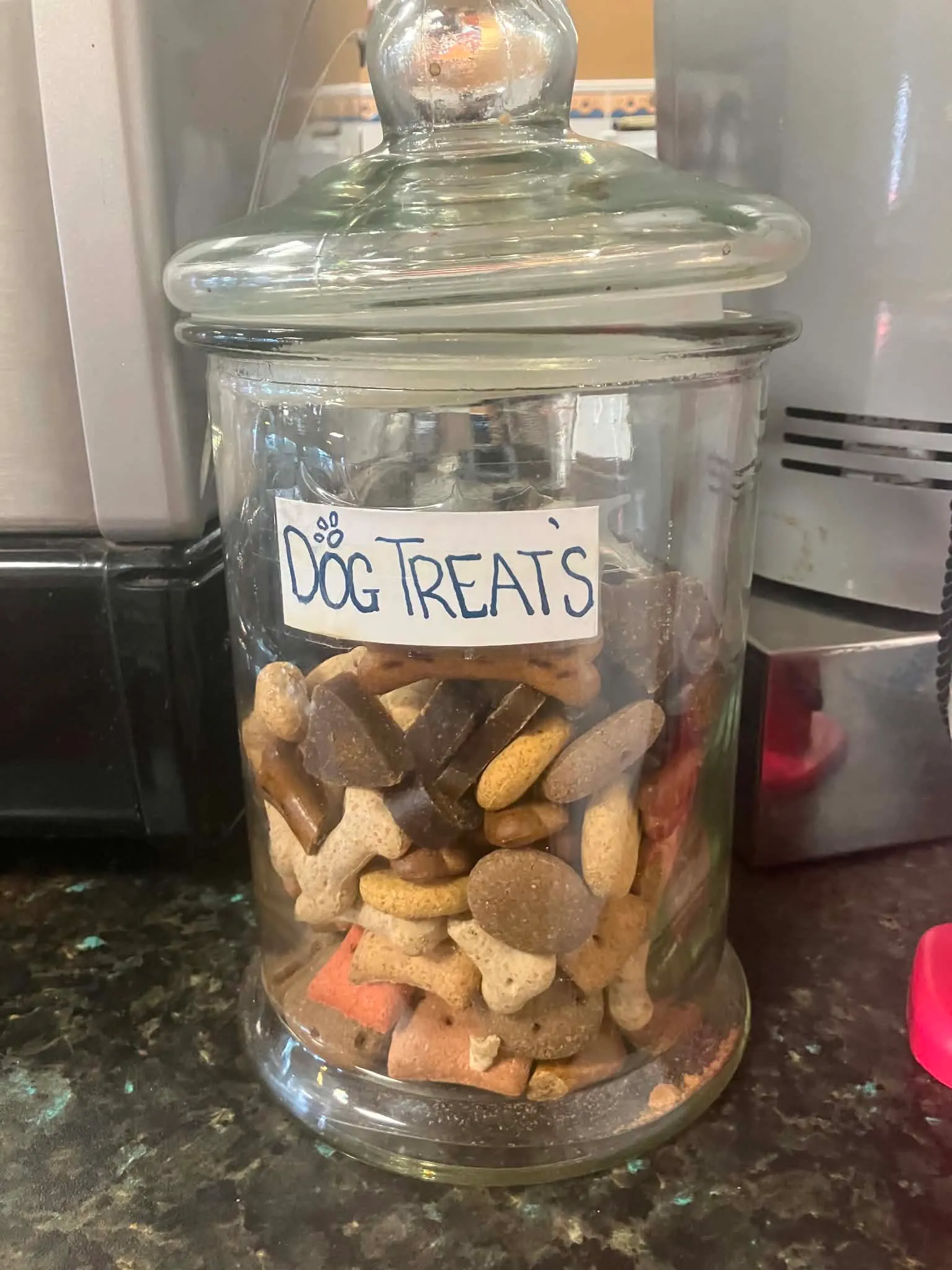 Dog friendly cafe with doggy eats and water bowls