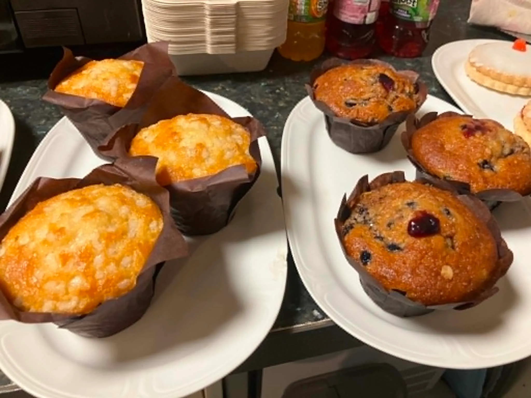 Lemon and Blueberry Muffins at Copperwheats Coffee Shop